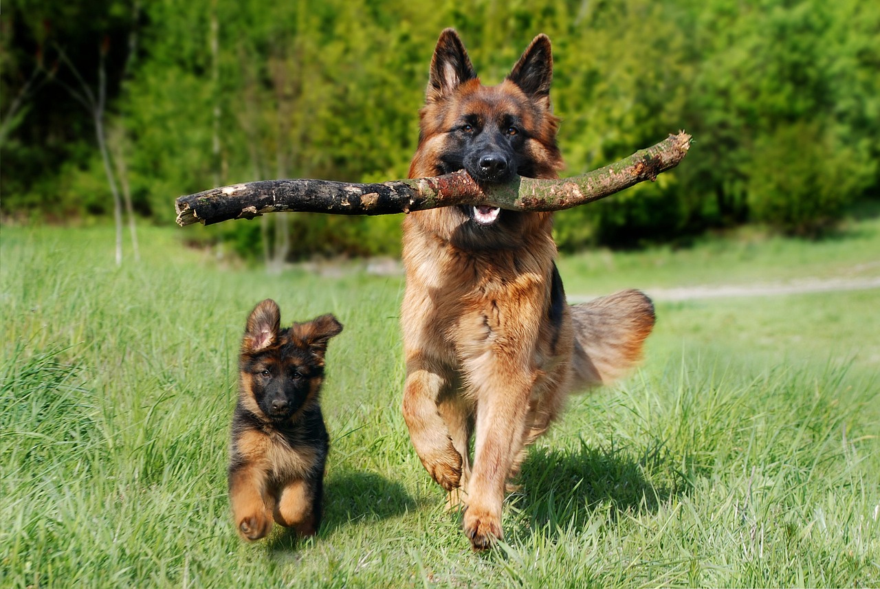 Before - Handling multiple objects is no problem.